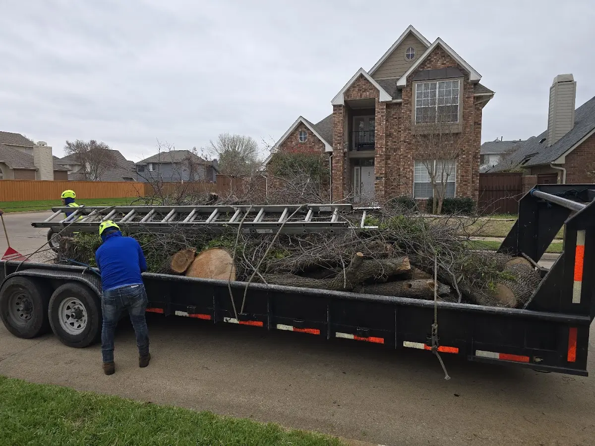 Expert Tree Removal with proper safety equipment in Allamuchy